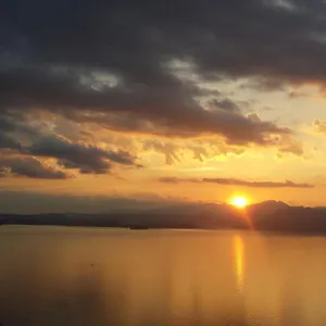 The View Apartment